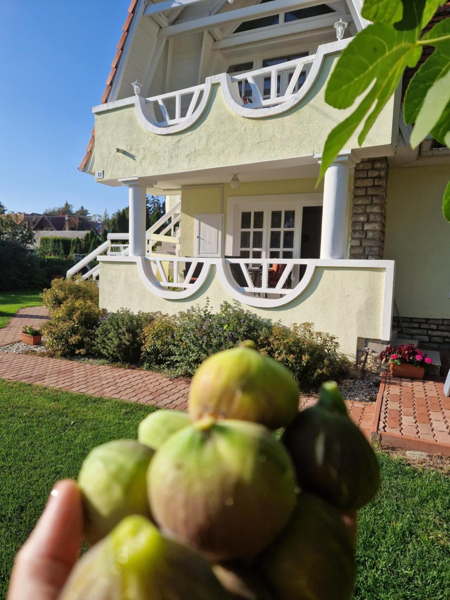 Balaton Apartman Fuered Balatonfured Ngoại thất bức ảnh